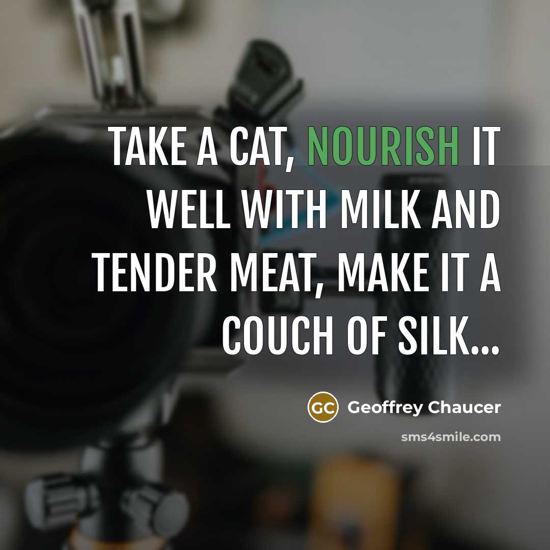 “Take a cat, nourish it well with milk and tender…” quote by Geoffrey Chaucer