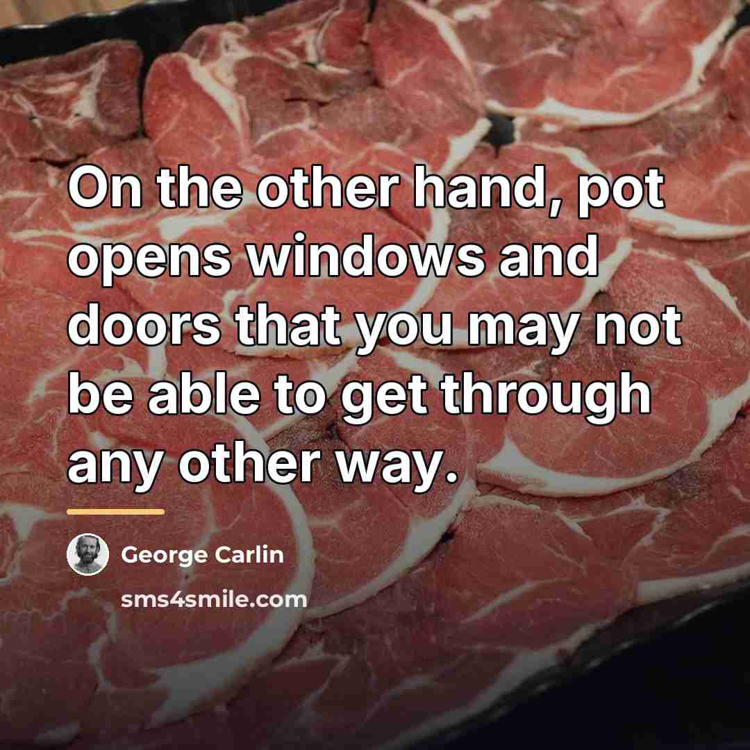 “On the other hand, pot opens windows and doors that…” quote by George Carlin