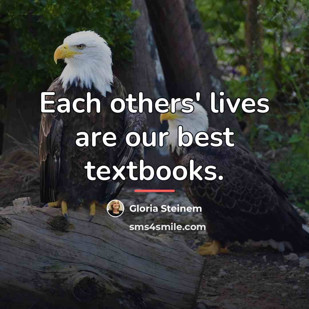 “Each others' lives are our best textbooks.…” quote by Gloria Steinem