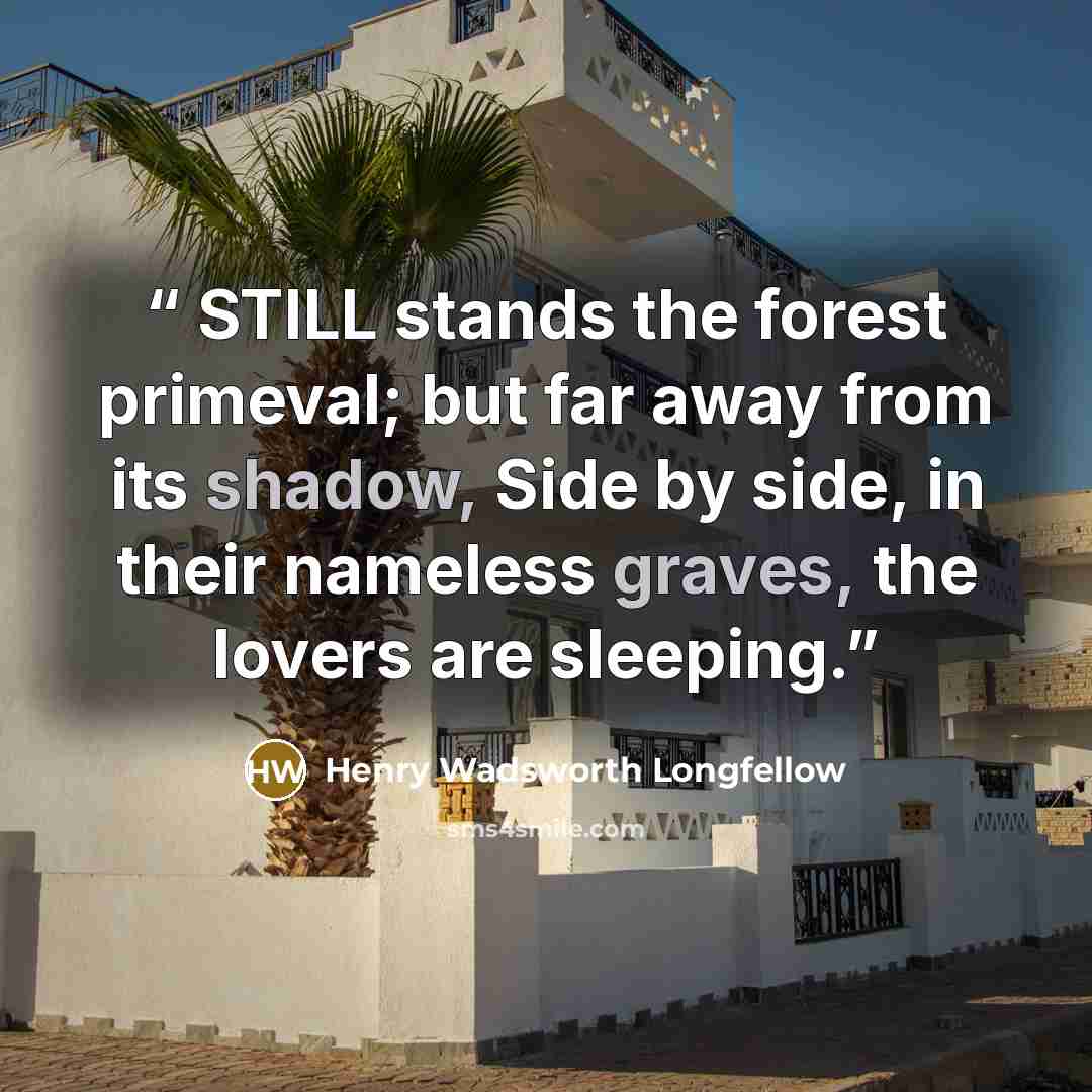 “STILL stands the forest primeval; but far away from its shadow, Side by side, in their nameless graves, the lovers are sleeping.” quote by Henry Wadsworth Longfellow