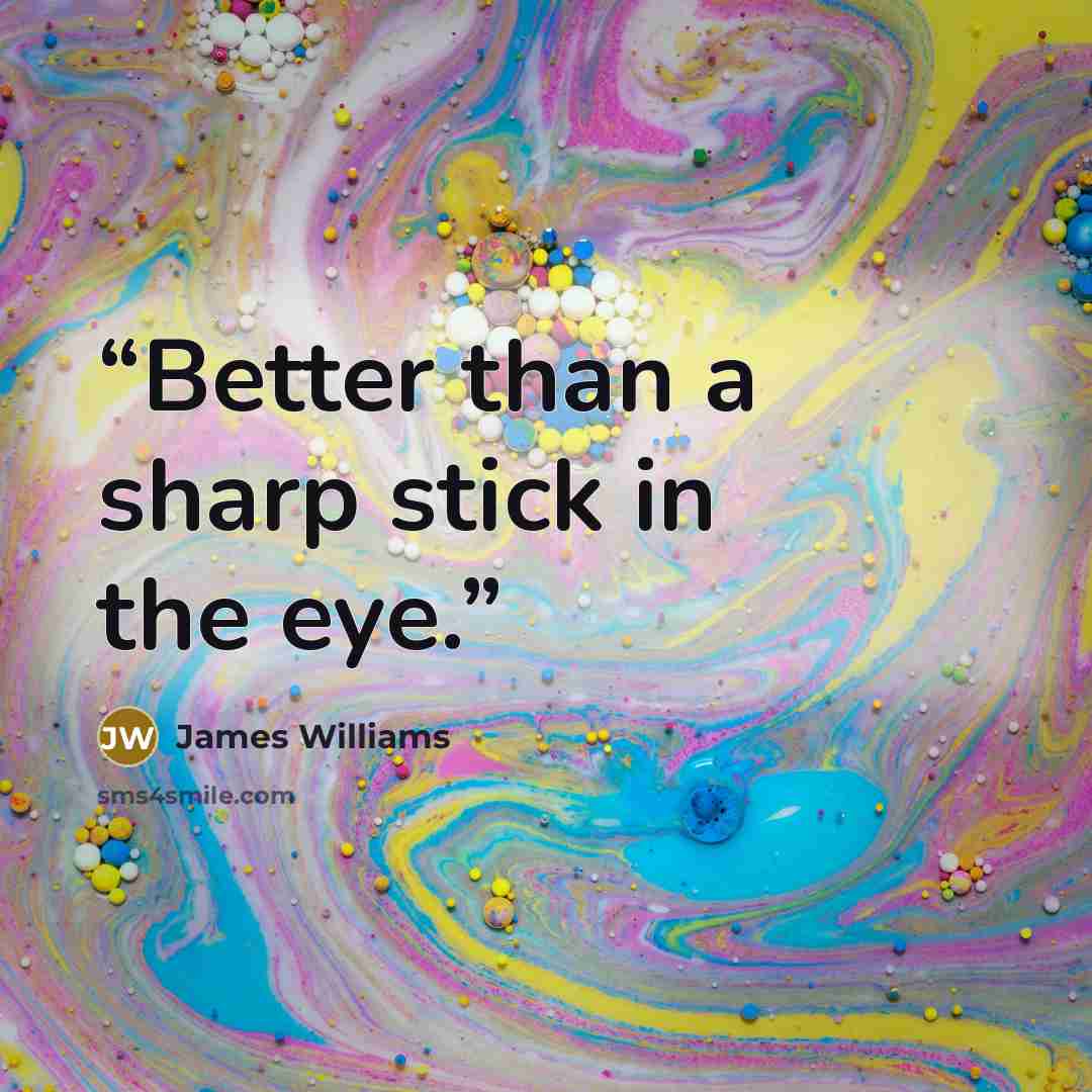 “Better than a sharp stick in the eye.” quote by James Williams