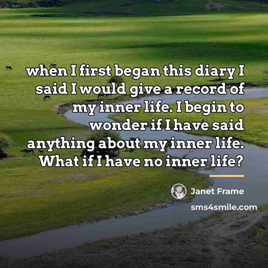“when I first began this diary I said I would…” quote by Janet Frame