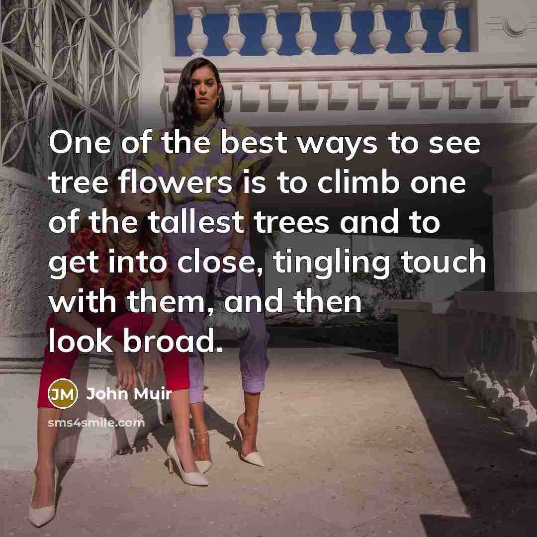 “One of the best ways to see tree flowers is…” quote by John Muir