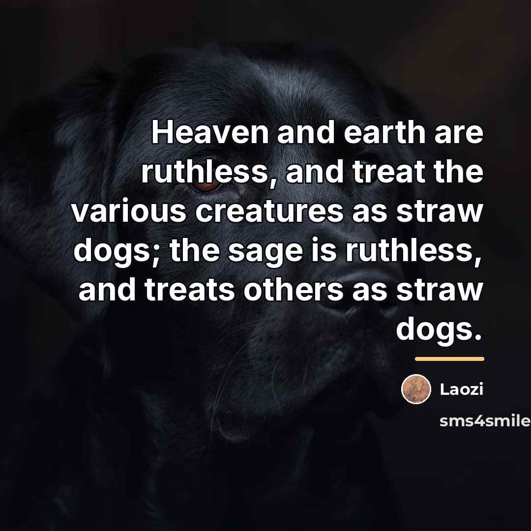 “Heaven and earth are ruthless, and treat the various creatures…” quote by Laozi