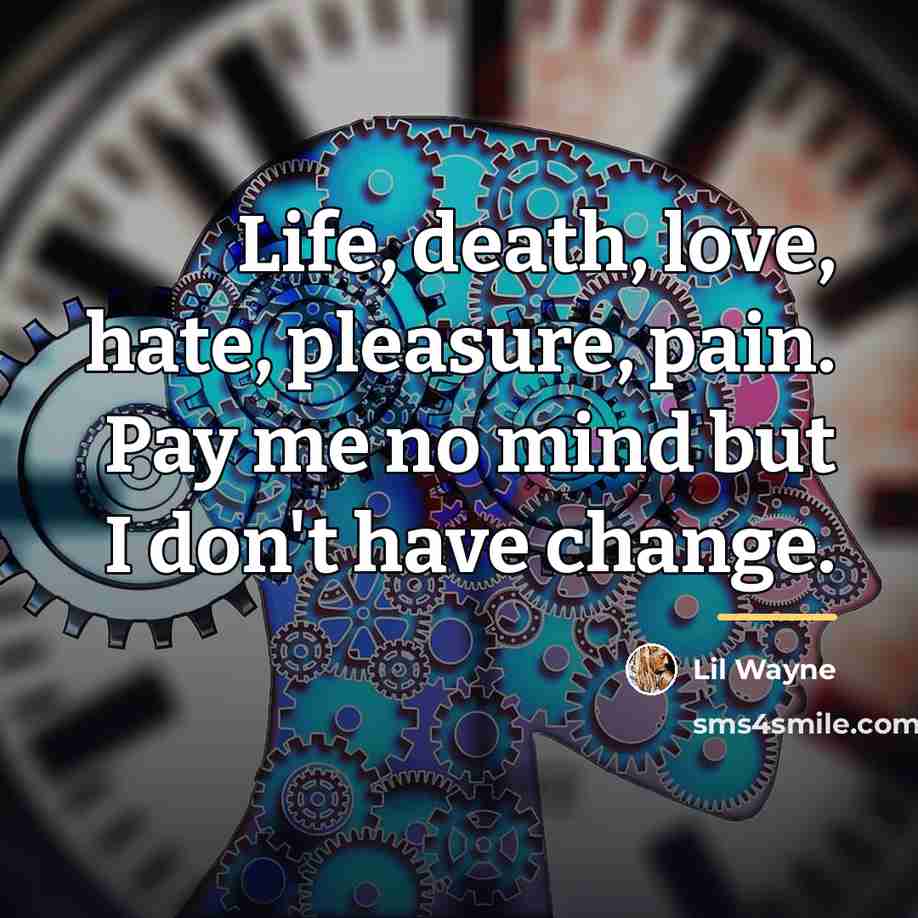 “Life, death, love, hate, pleasure, pain. Pay me no mind…” quote by Lil Wayne