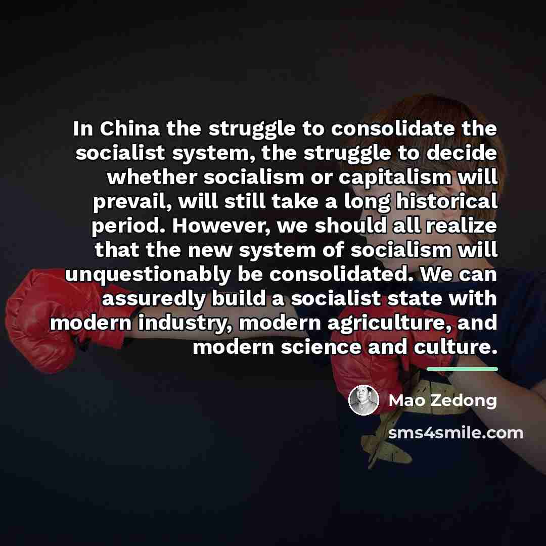 “In China the struggle to consolidate the socialist system, the…” quote by Mao Zedong