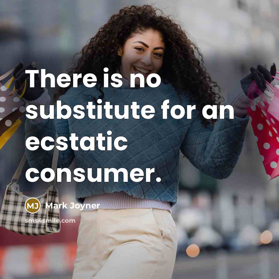 “There is no substitute for an ecstatic consumer.” quote by Mark Joyner
