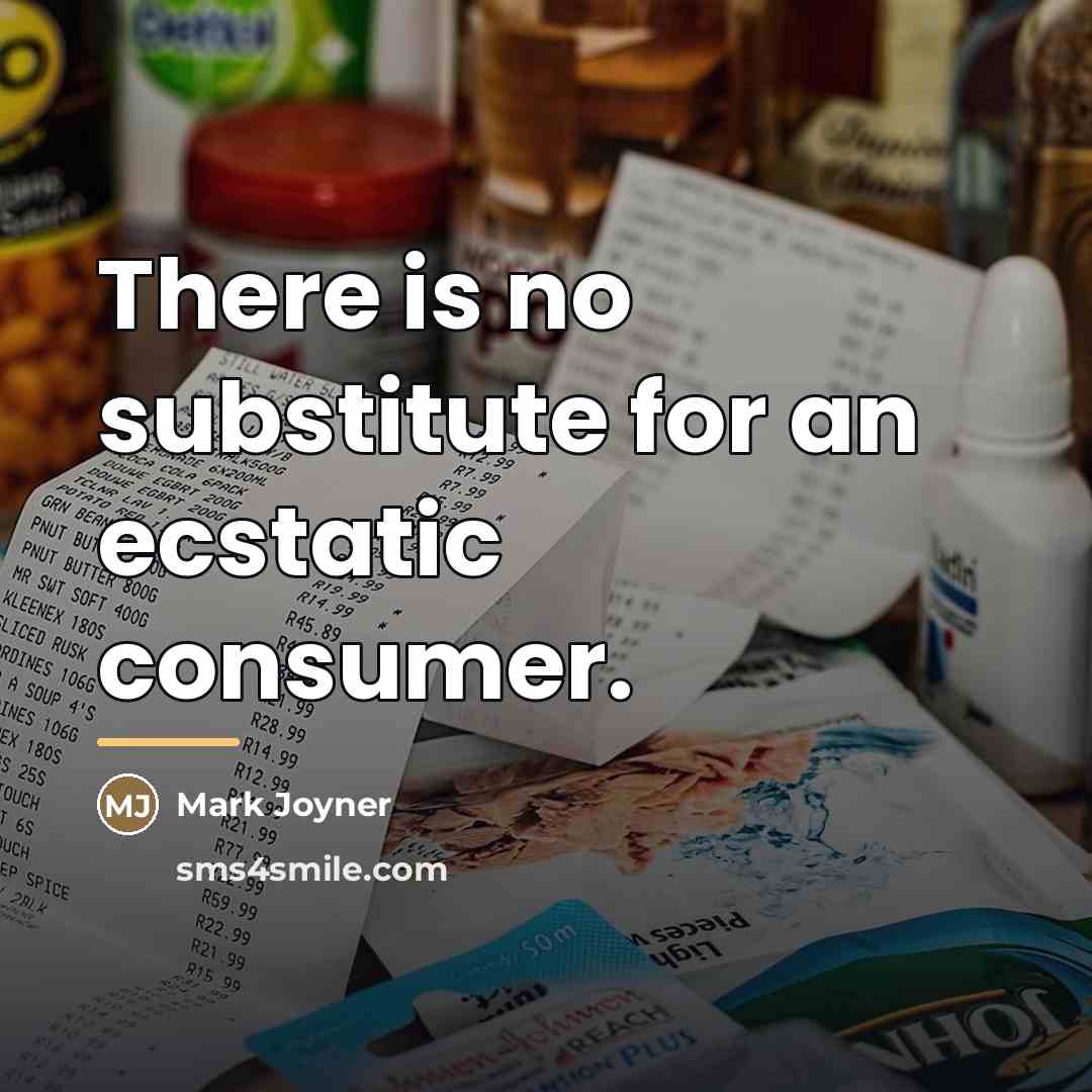 “There is no substitute for an ecstatic consumer.…” quote by Mark Joyner