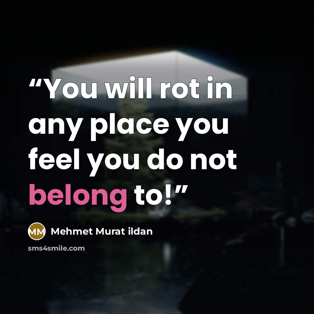 “You will rot in any place you feel you do not belong to!” quote by Mehmet Murat ildan