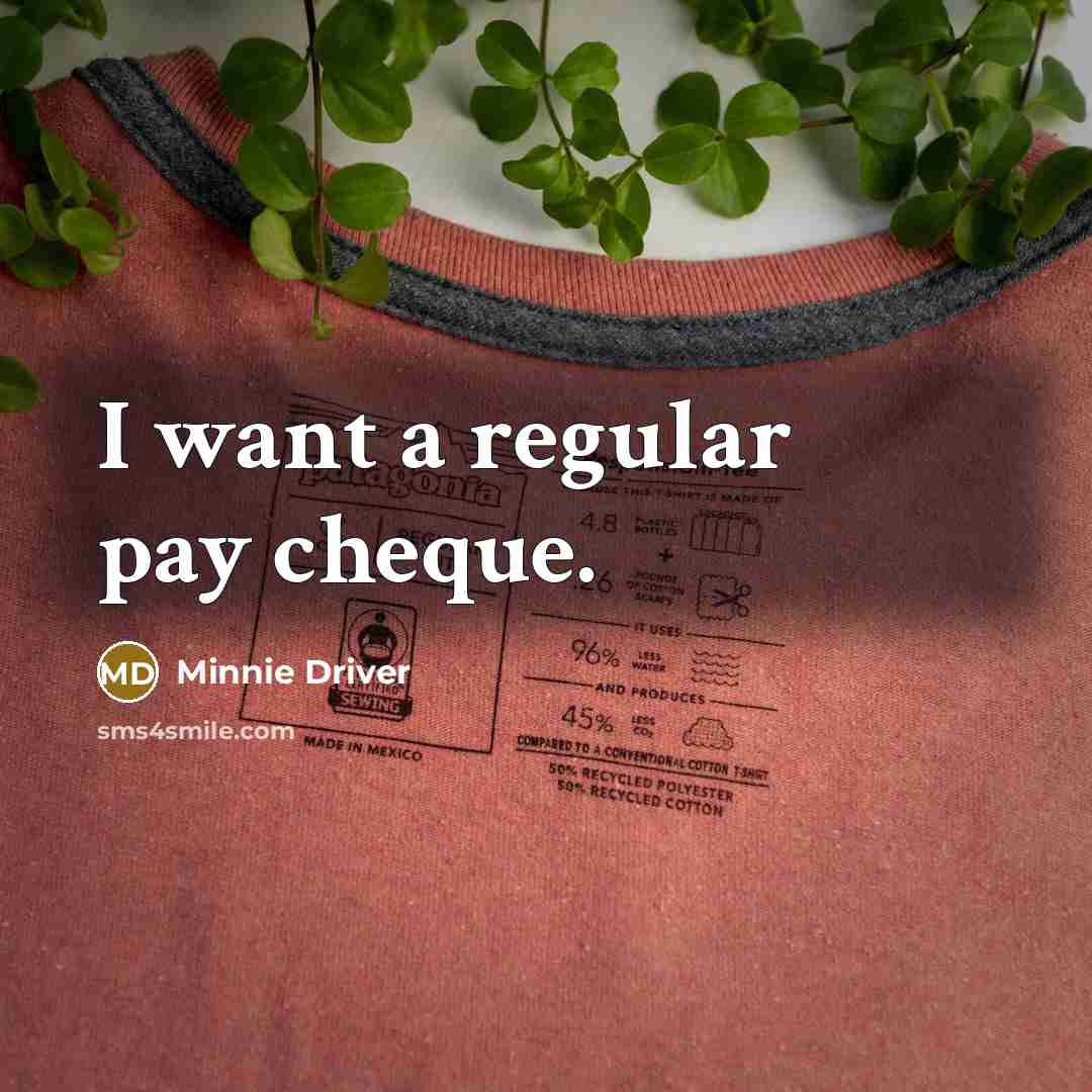 “I want a regular pay cheque.…” quote by Minnie Driver