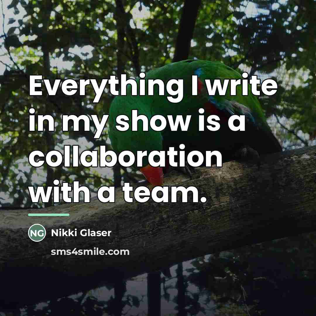 “Everything I write in my show is a collaboration with…” quote by Nikki Glaser