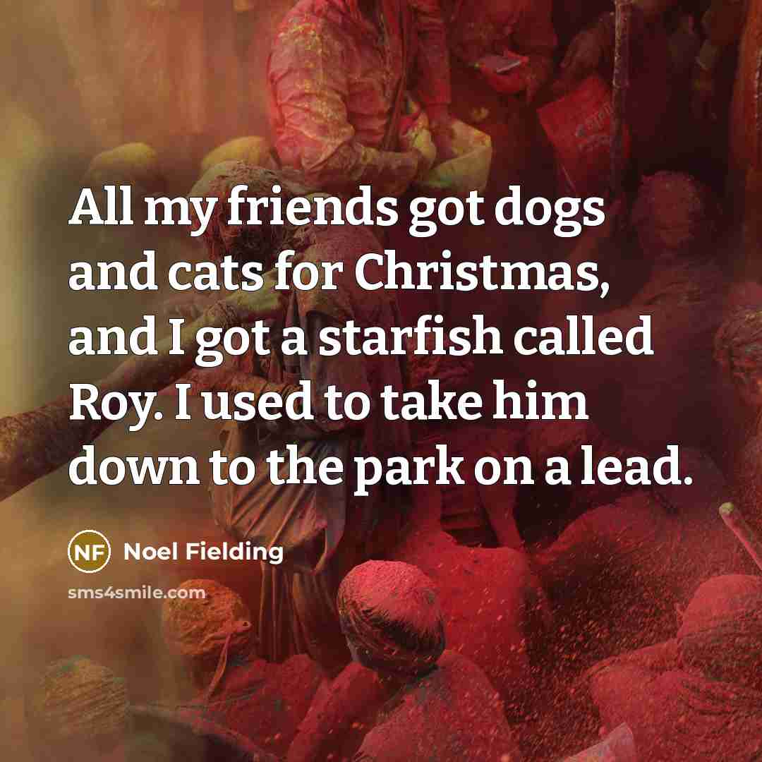 “All my friends got dogs and cats for Christmas, and…” quote by Noel Fielding
