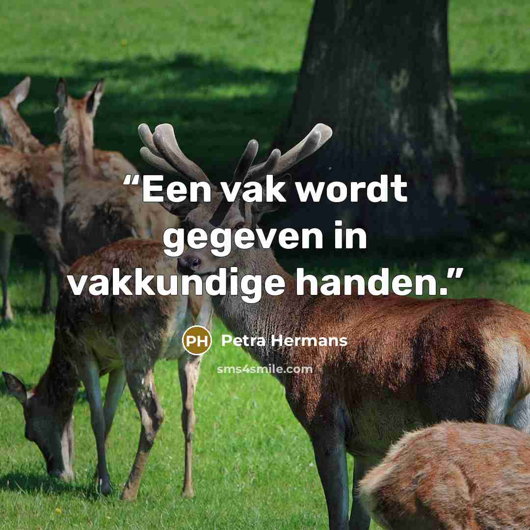 “Een vak wordt gegeven in vakkundige handen.” quote by Petra Hermans