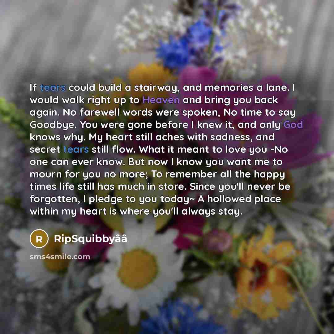 “If tears could build a stairway, and memories a lane. I would walk right up to Heaven and bring you back again. No farewell words were spoken, No time to say Goodbye. You were gone before I knew it, and only God knows why. My heart still aches with sadness, and secret tears still flow. What it…” quote by RipSquibbyââ