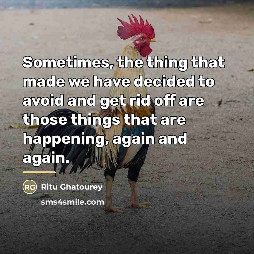 “Sometimes, the thing that made we have decided to avoid…” quote by Ritu Ghatourey
