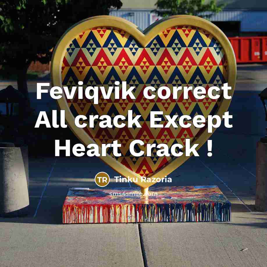 “Feviqvik correct All crack Except Heart Crack !…” quote by Tinku Razoria