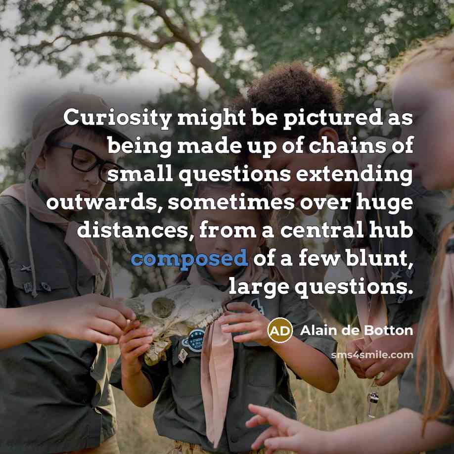 “Curiosity might be pictured as being made up of chains…” quote by Alain de Botton