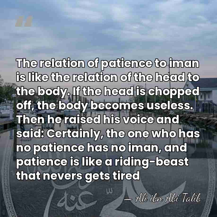 The relation of patience to iman is like the relation of the&hellip; - Ali ibn Abi Talib