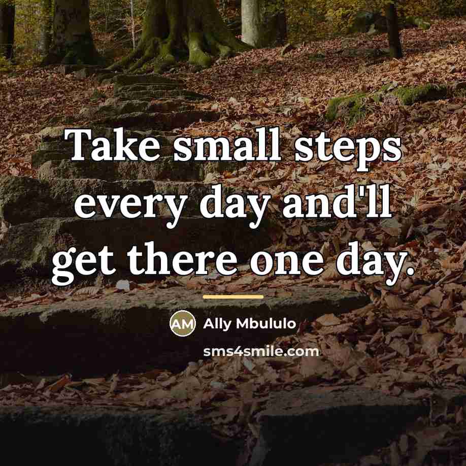 “Take small steps every day and'll get there one day.…” quote by Ally Mbululo