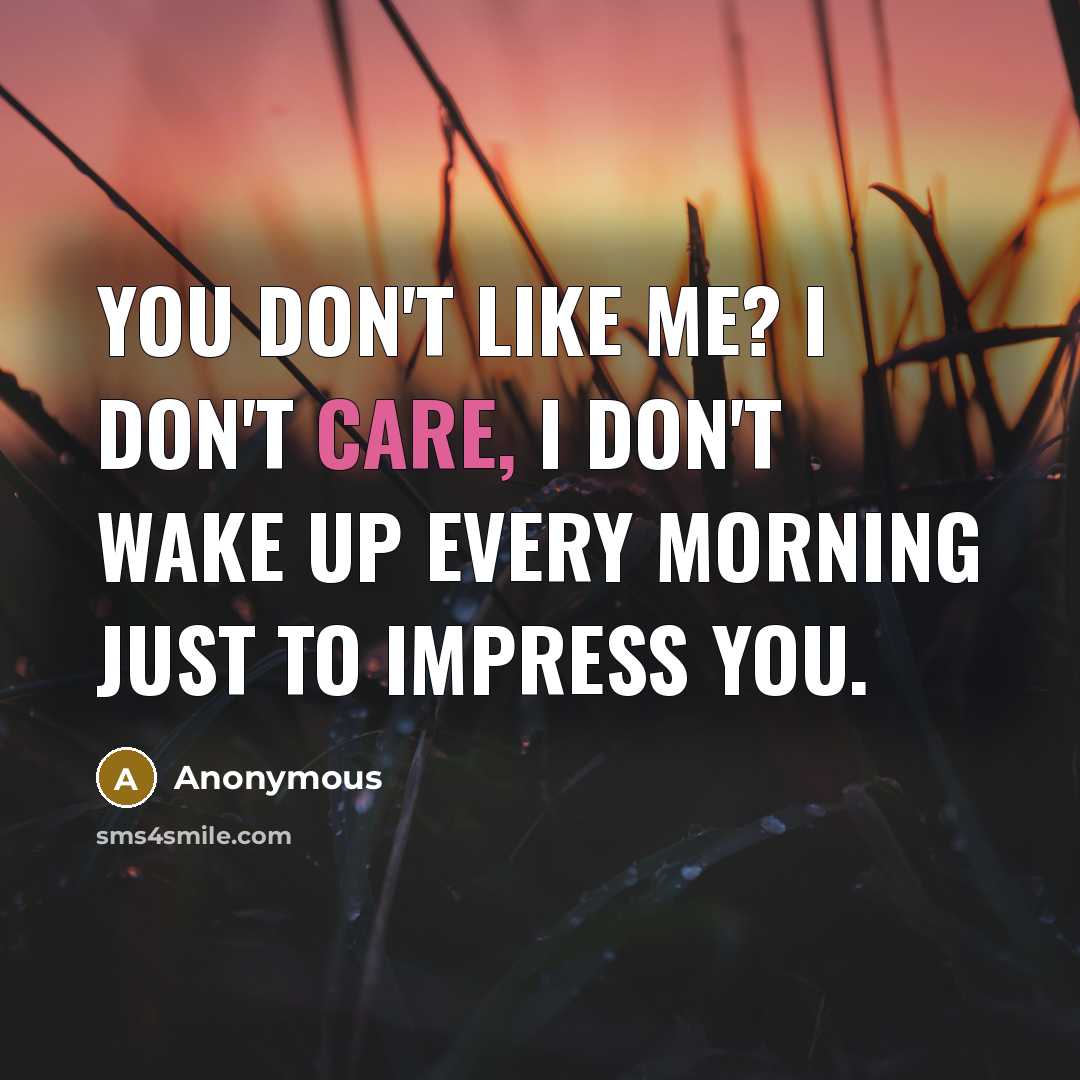 “You don't like me? I don't care, I don't wake…” quote by Anonymous