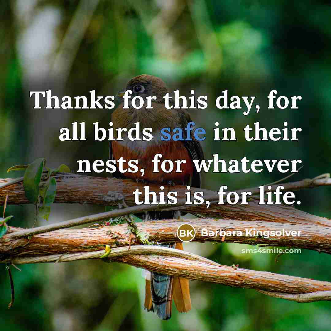 “Thanks for this day, for all birds safe in their…” quote by Barbara Kingsolver