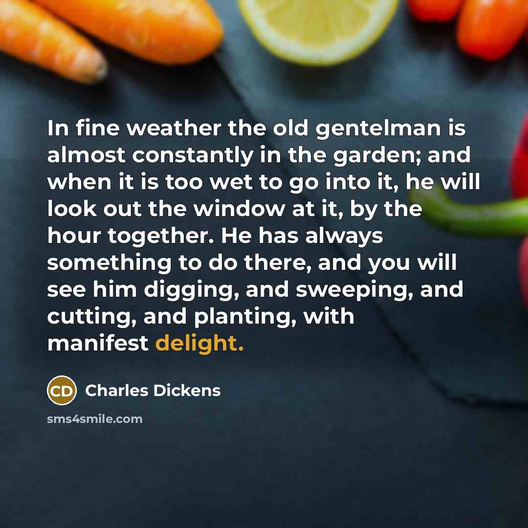 “In fine weather the old gentelman is almost constantly in…” quote by Charles Dickens