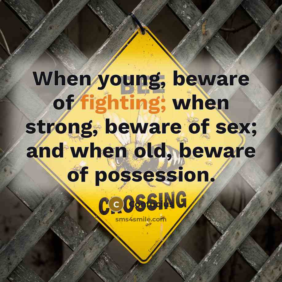 “When young, beware of fighting; when strong, beware of sex;…” quote by Confucius