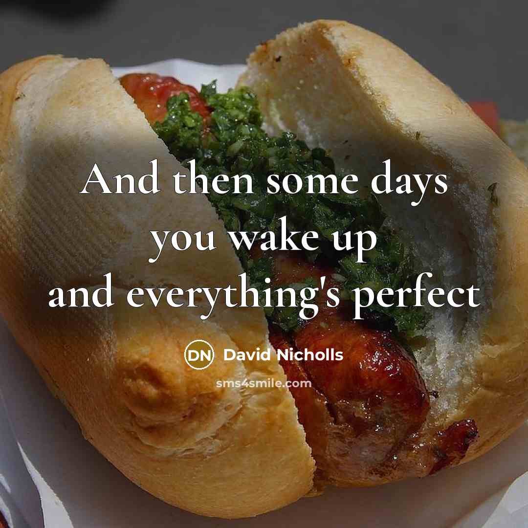 “And then some days you wake up and everything's perfect…” quote by David Nicholls
