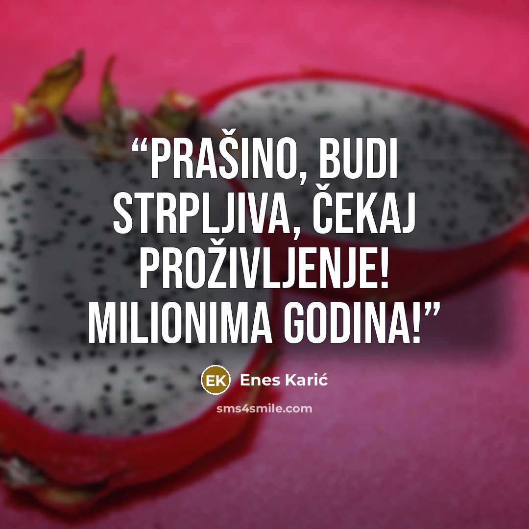 “Prašino, budi strpljiva, čekaj proživljenje! Milionima godina!” quote by Enes Karić