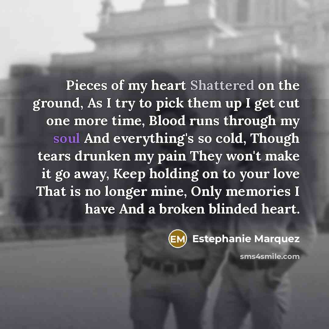 “Pieces of my heart Shattered on the ground, As I try to pick them up I get cut one more time, Blood runs through my soul And everything's so cold, Though tears drunken my pain They won't make it go away, Keep holding on to your love That is no longer mine, Only memories I have And a broken blinded…” quote by Estephanie Marquez