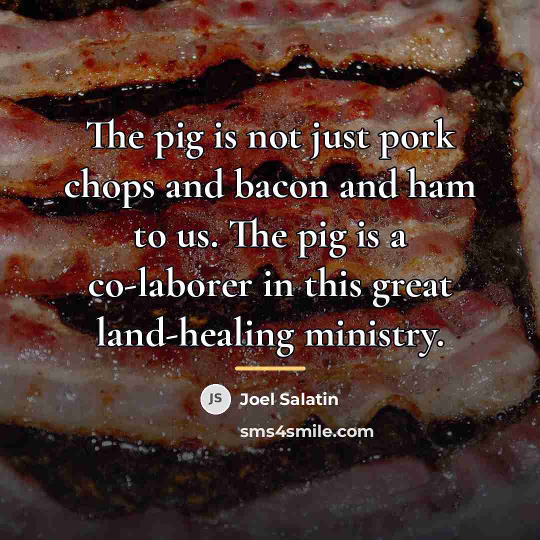 “The pig is not just pork chops and bacon and…” quote by Joel Salatin