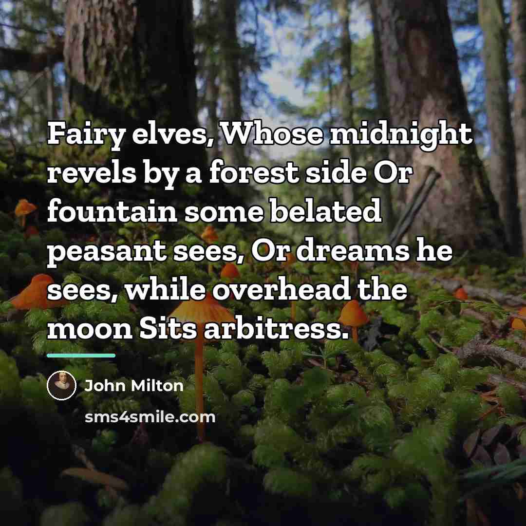 “Fairy elves, Whose midnight revels by a forest side Or…” quote by John Milton