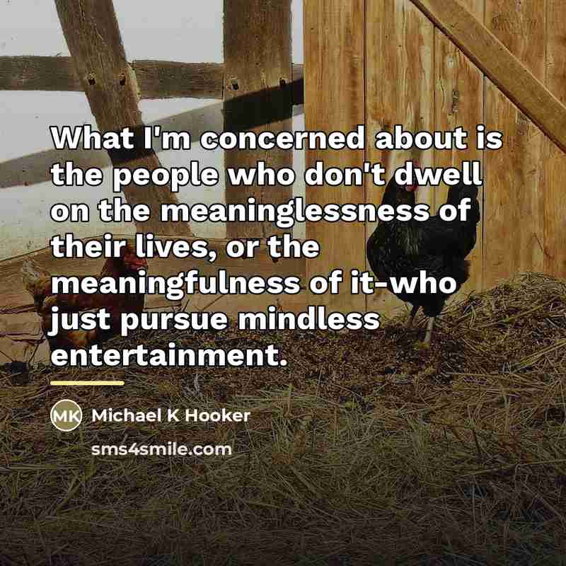 “What I'm concerned about is the people who don't dwell…” quote by Michael K Hooker