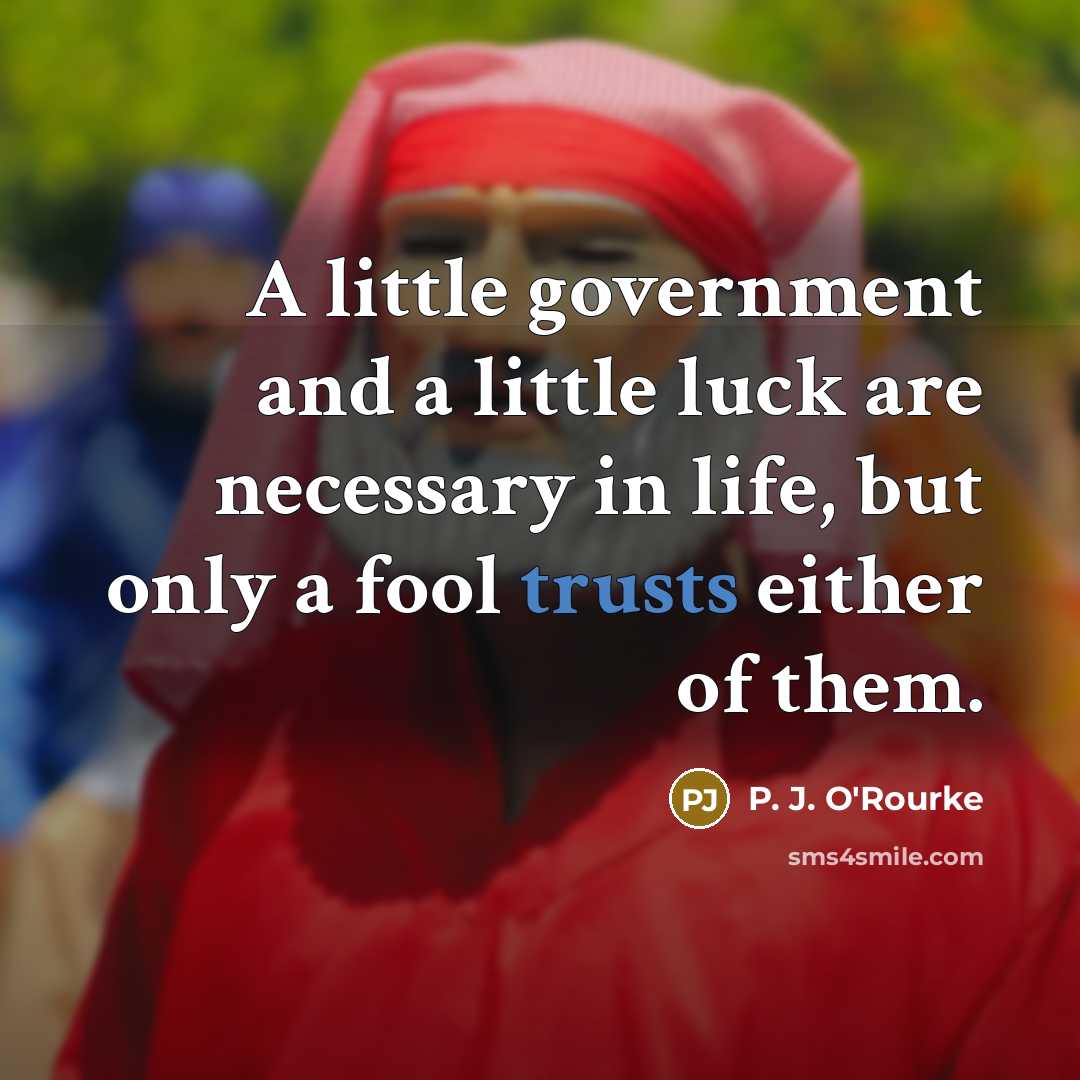 “A little government and a little luck are necessary in…” quote by P. J. O'Rourke