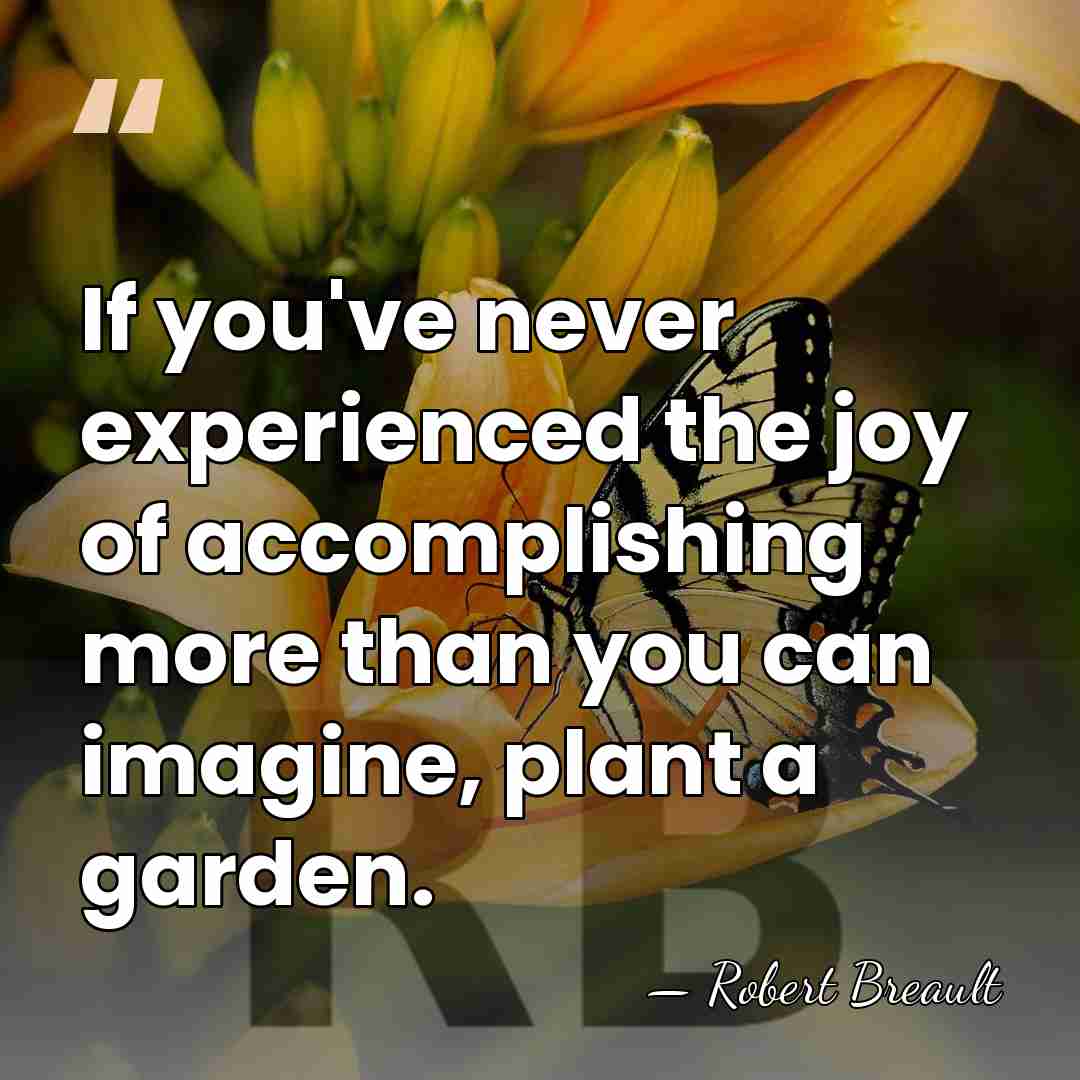If you've never experienced the joy of accomplishing more than you can&hellip; - Robert Breault