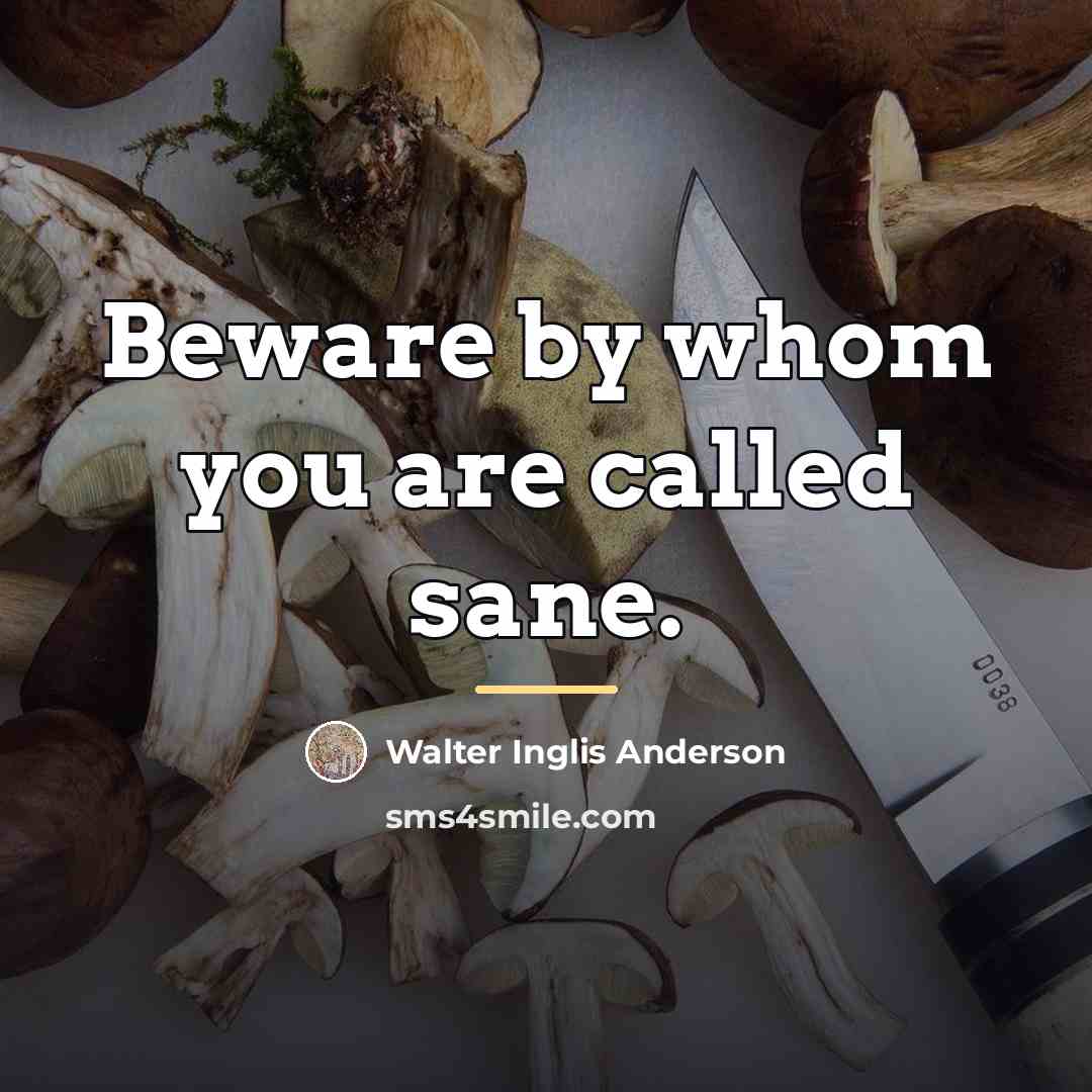 “Beware by whom you are called sane.…” quote by Walter Inglis Anderson