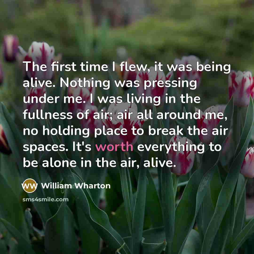 “The first time I flew, it was being alive. Nothing…” quote by William Wharton