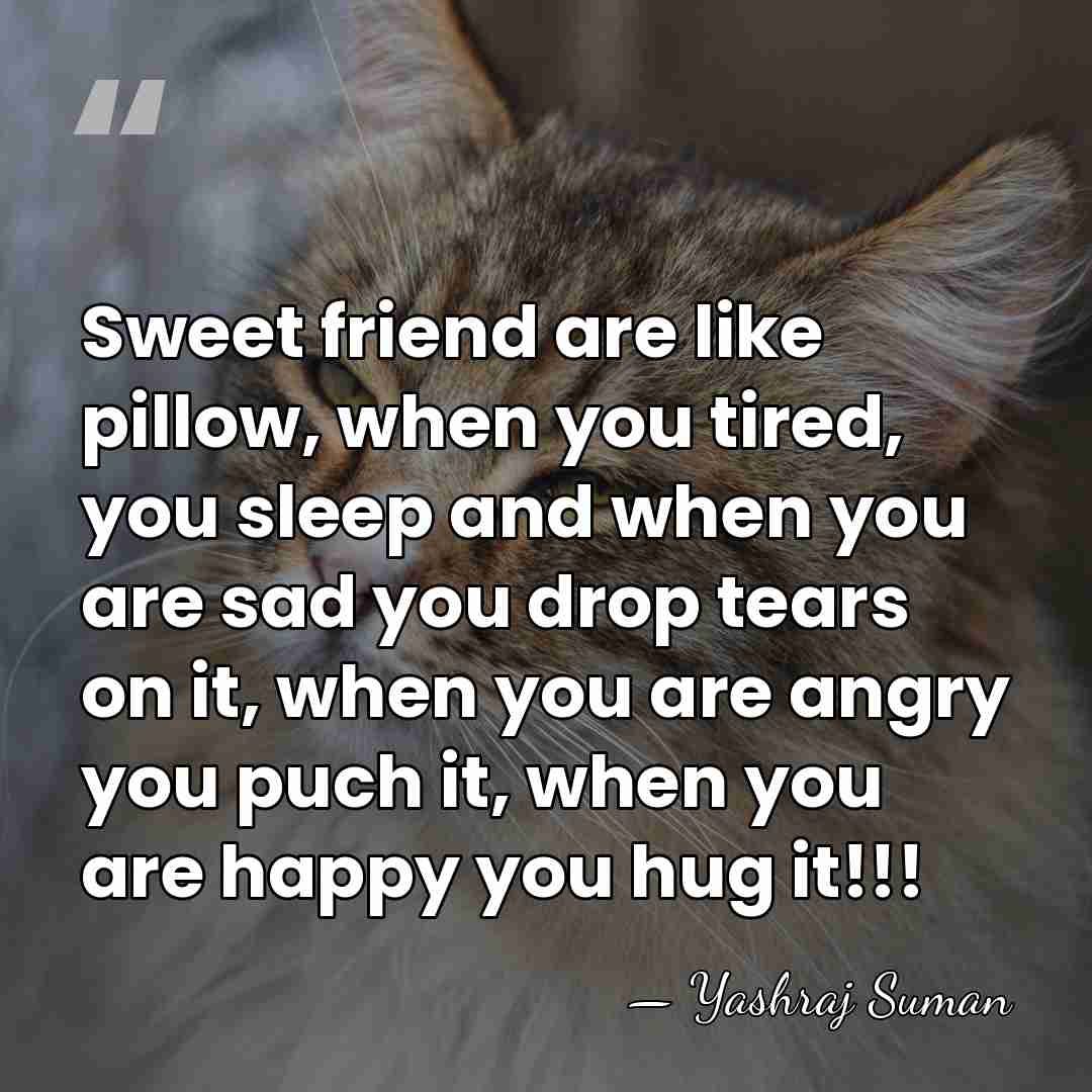 Sweet friend are like pillow, when you tired, you sleep and when&hellip; - Yashraj Suman