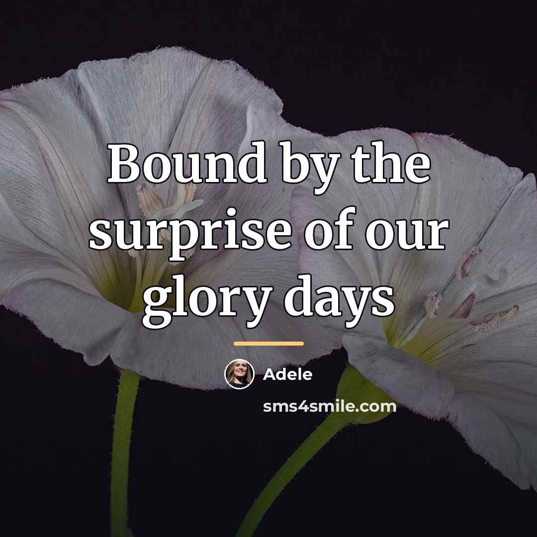 “Bound by the surprise of our glory days…” quote by Adele