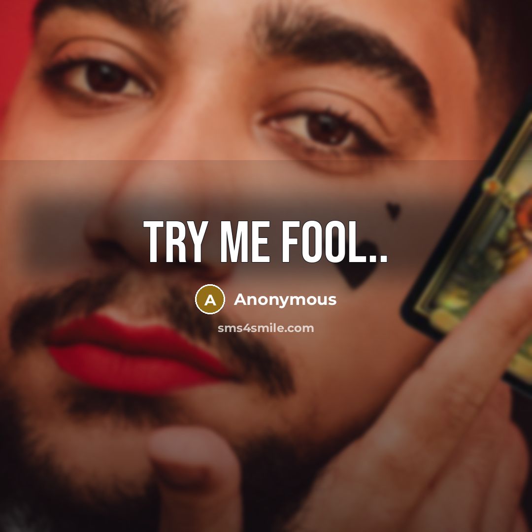 “Try me fool..” quote by Anonymous