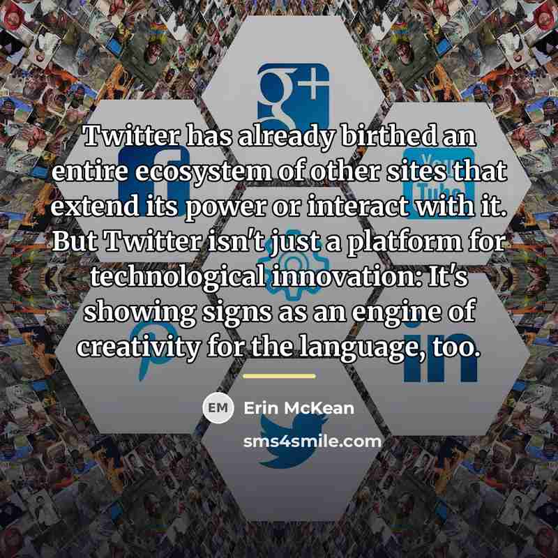 “Twitter has already birthed an entire ecosystem of other sites…” quote by Erin McKean
