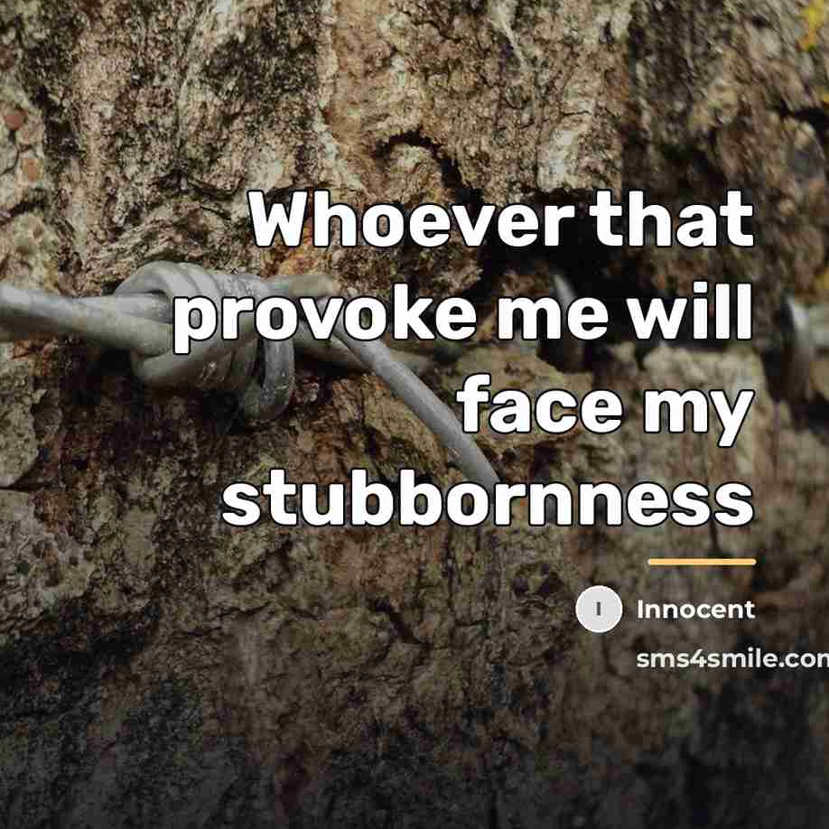 “Whoever that provoke me will face my stubbornness…” quote by Innocent