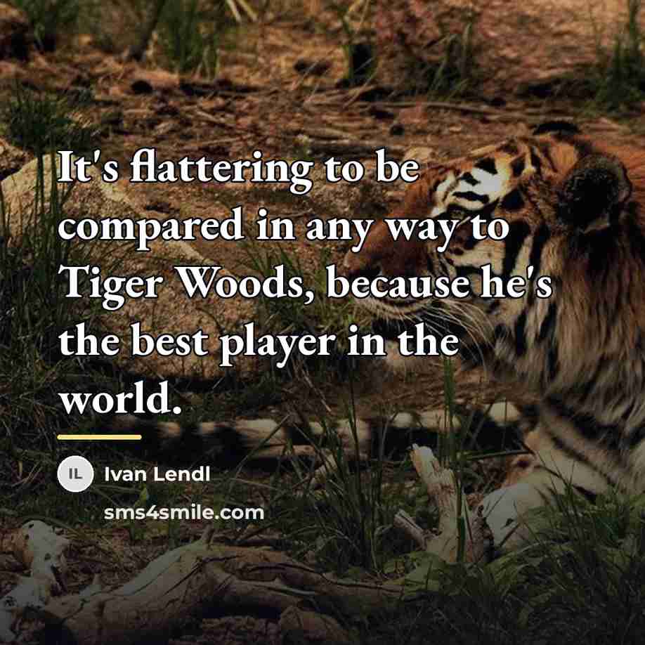 “It's flattering to be compared in any way to Tiger…” quote by Ivan Lendl
