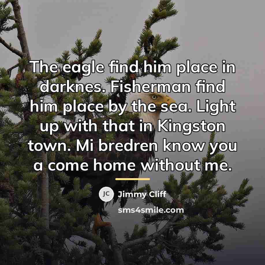 “The eagle find him place in darknes. Fisherman find him…” quote by Jimmy Cliff