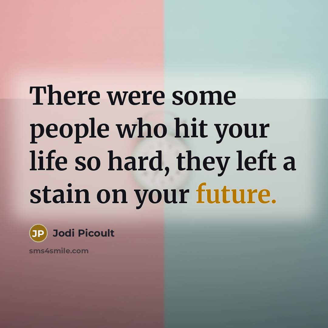“There were some people who hit your life so hard,…” quote by Jodi Picoult