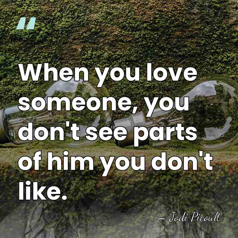 When you love someone, you don't see parts of him you don't&hellip; - Jodi Picoult