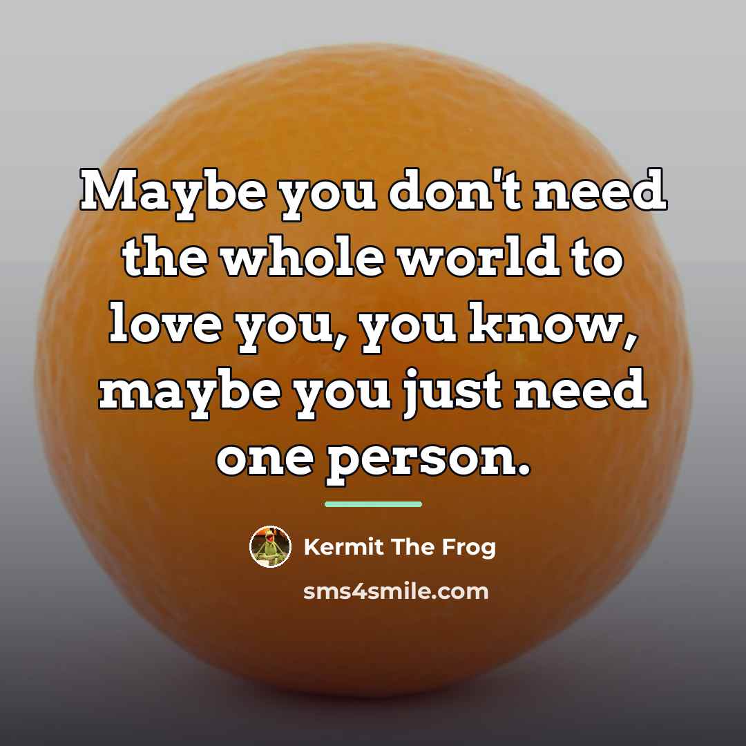 “Maybe you don't need the whole world to love you,…” quote by Kermit The Frog