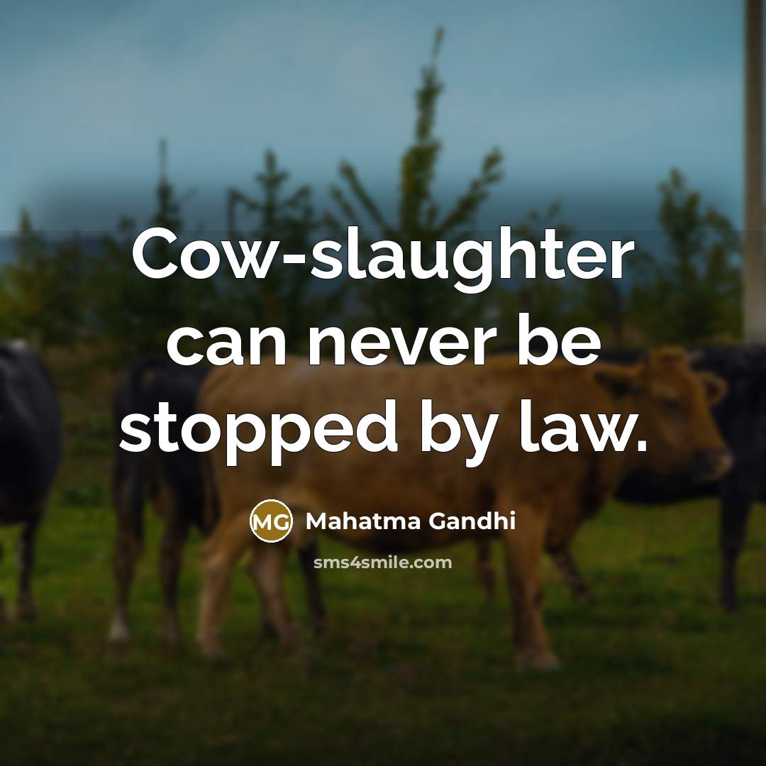 “Cow-slaughter can never be stopped by law.…” quote by Mahatma Gandhi