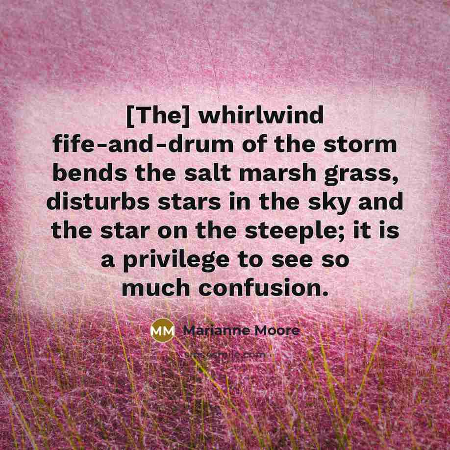 “[The] whirlwind fife-and-drum of the storm bends the salt marsh…” quote by Marianne Moore
