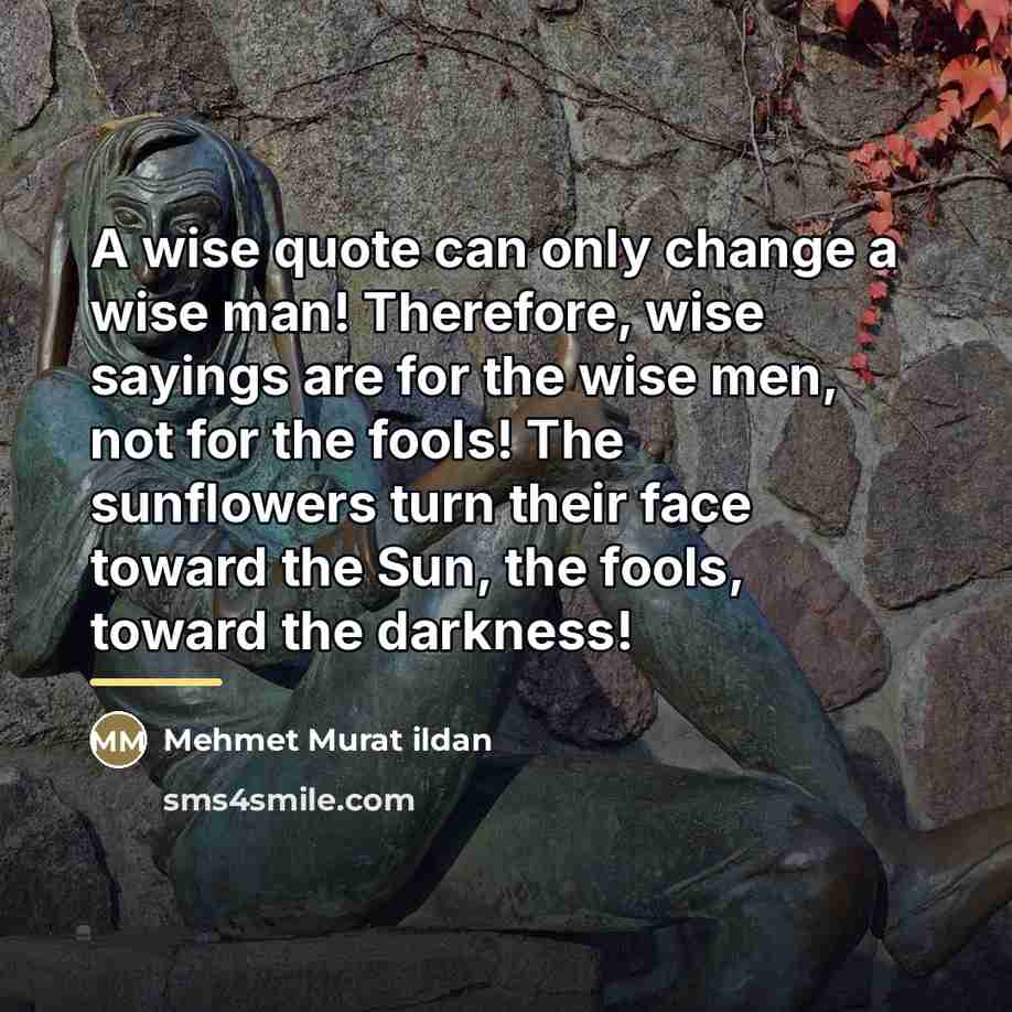 “A wise quote can only change a wise man! Therefore,…” quote by Mehmet Murat Ildan